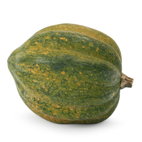 Wholesale BoxNCase Case Acorn Squash- Bulk