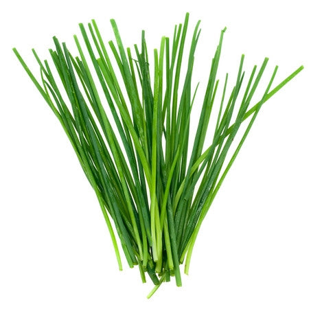 Wholesale Produce Exp Case Chives- Bulk