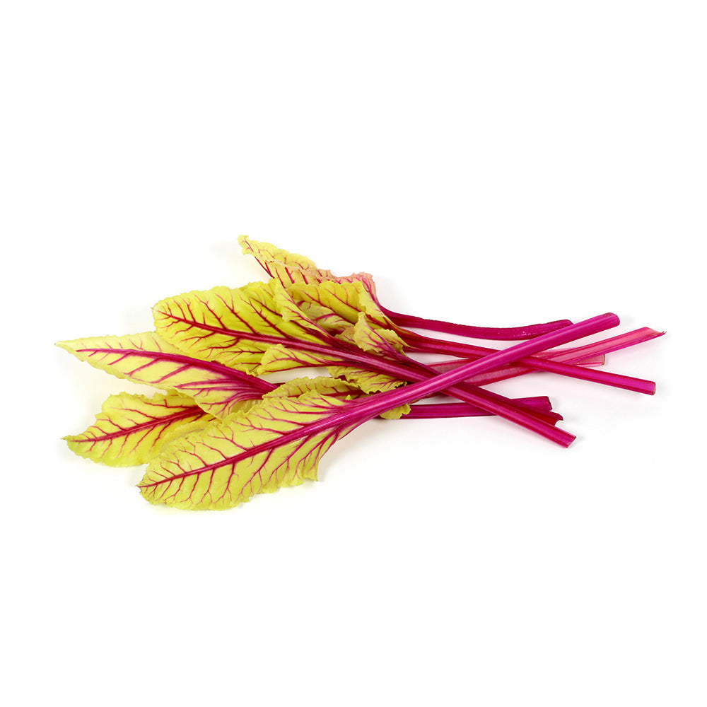 Wholesale Radiant Beet Leaves | 100 ct- Bulk
