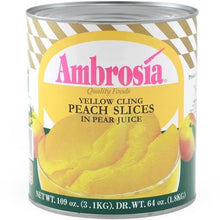 Wholesale BoxNCase Case Sliced Peaches In Natural Juice- Bulk