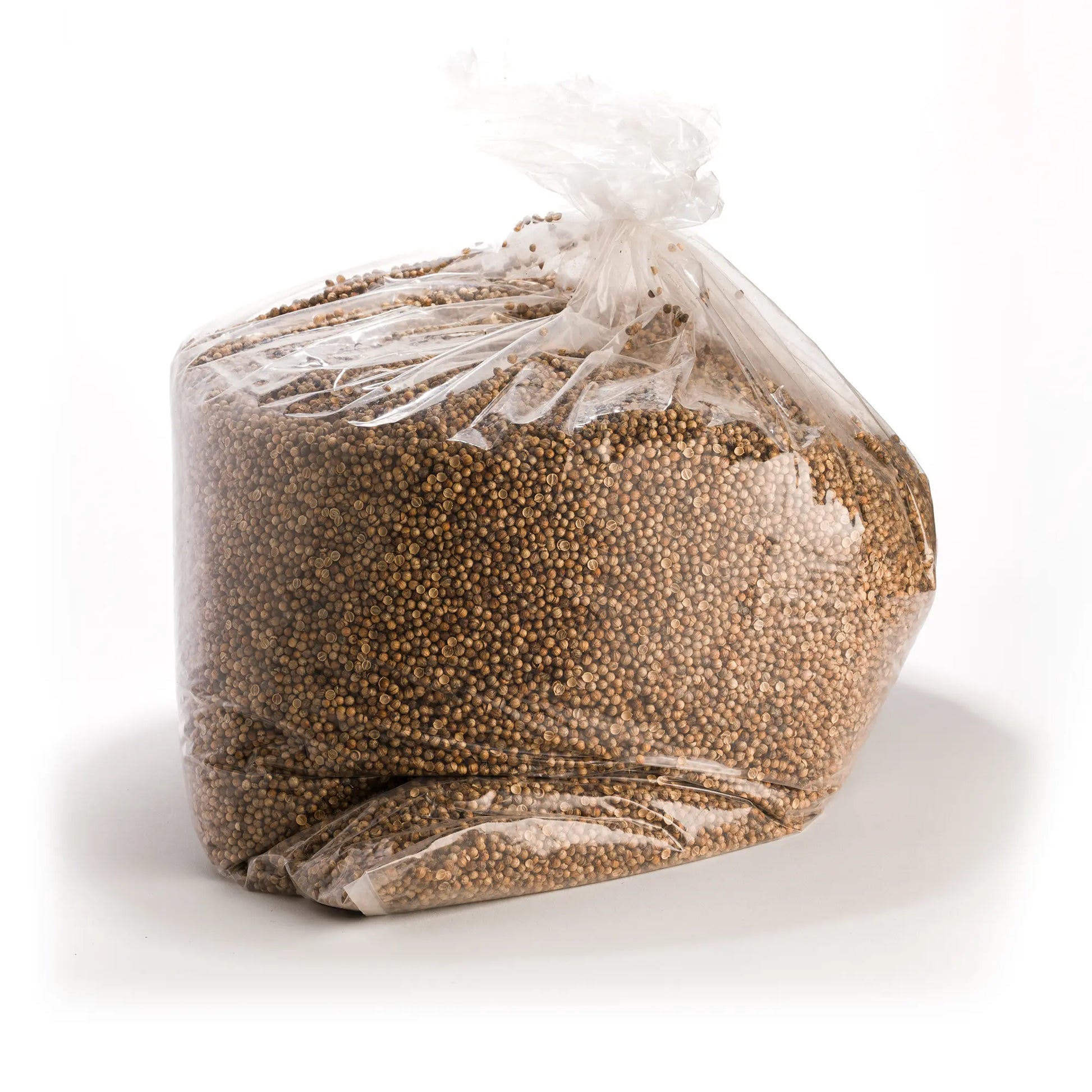 Wholesale BoxNCase Coriander Seed Bulk 10lb- Bulk
