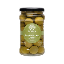 Wholesale Divina Castelvetrano Rtl Pttd Jars- Bulk