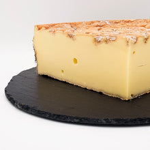 Wholesale Vacherin Fribourgeois Cheese 15 lb- Bulk