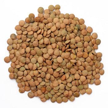 Wholesale Senor Frijoles Brown Lentils 25lb- Bulk