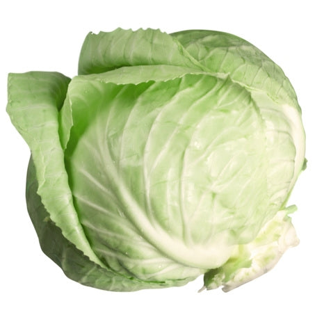 Wholesale BoxNCase Case Green Cabbage- Bulk