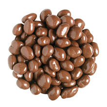 Wholesale BoxNCase Maltitol Milk Chocolate Raisins- Bulk