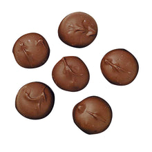 Wholesale Asher'S Sugar Free Milk Chocolate Marshmallows- Bulk