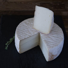 Wholesale Capriole Old Kentucky Tomme 5#- Bulk