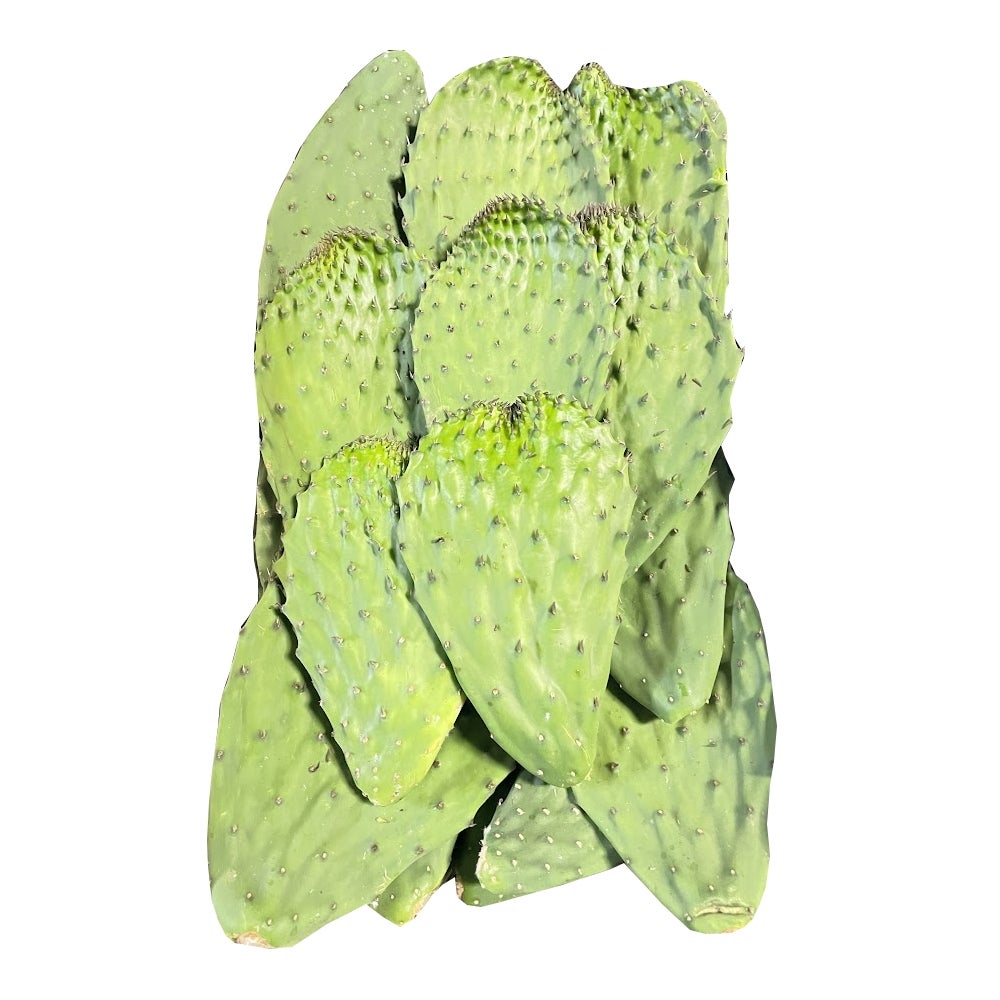 Wholesale Dix Farms Cactus Leaves (Nopales) 10lb- Bulk