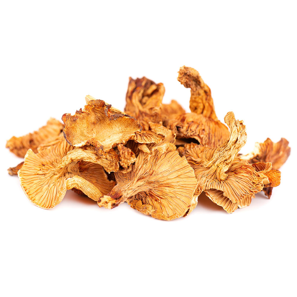 Wholesale Dried Chanterelle Mushroom- Bulk