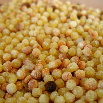 Wholesale Rustichella Dried Fregola Sarda Pasta 13.2lb- Bulk