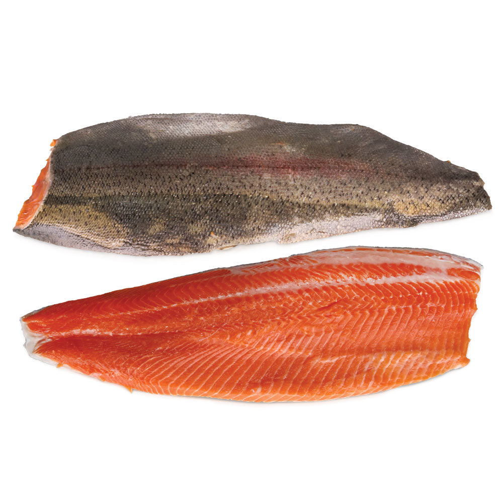 Wholesale Farmed Rainbow Trout 10/12Oz- Bulk