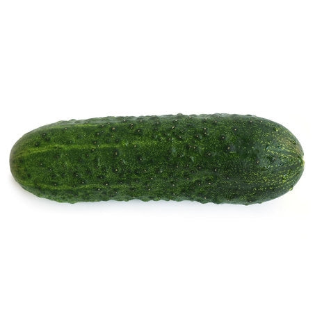 Wholesale BoxNCase Case Kirby Cucumber- Bulk