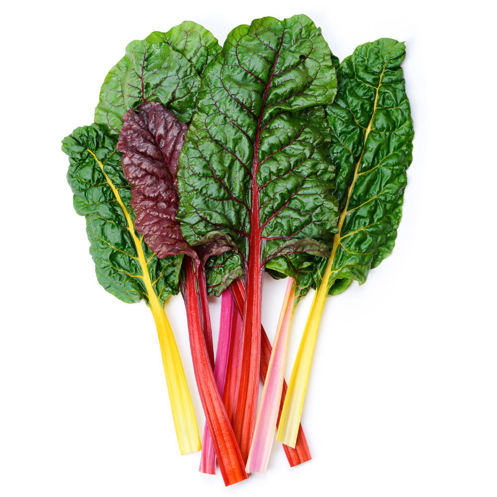 Wholesale Bright Lights Case Rainbow Swiss Chard- Bulk
