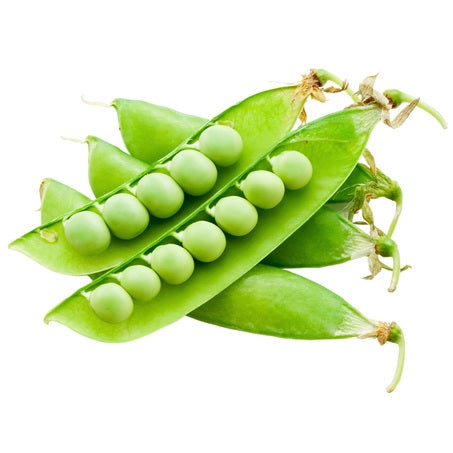 Wholesale English Peas | 10 lb- Bulk