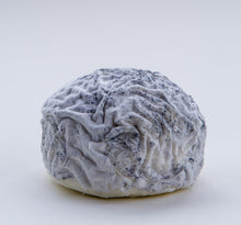Wholesale Capriole Wabash Cannonball- Bulk