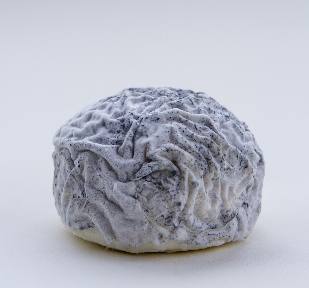 Wholesale Capriole Wabash Cannonball- Bulk