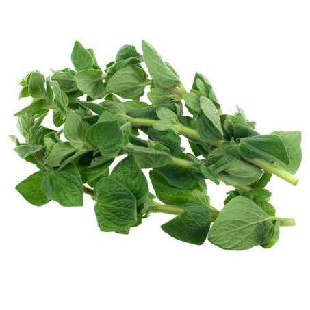 Wholesale Produce Exp Case Oregano- Bulk