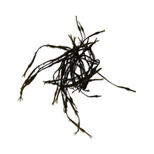 Wholesale BoxNCase Case Fresh Seaweed 10Lb- Bulk