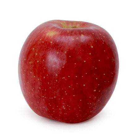 Wholesale Rainier Case Fuji Apples 100Ct- Bulk