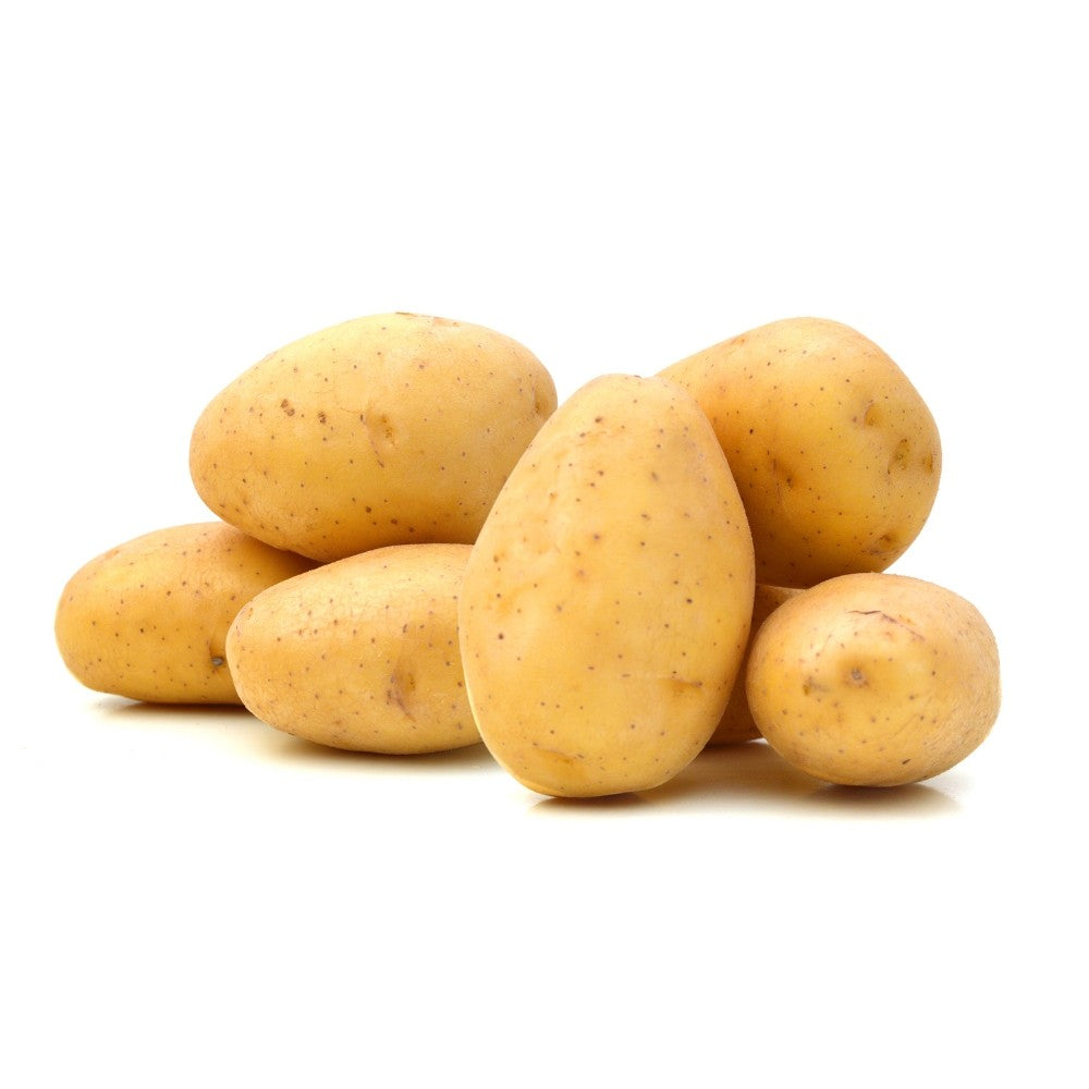 Wholesale Chef Potato | 50 lb- Bulk