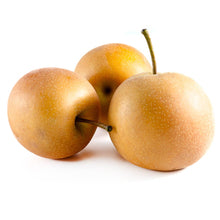 Wholesale BoxNCase Case Asian Pear- Bulk