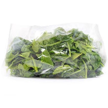 Wholesale BoxNCase Case Cello Spinach- Bulk