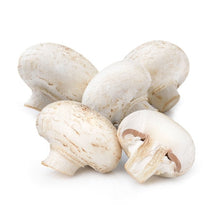 Wholesale Phillips Case Medium Mushrooms- Bulk