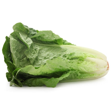 Wholesale Andy Boy Case Romaine Lettuce- Bulk