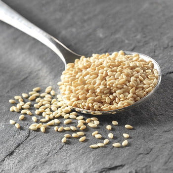 Wholesale Assi Roasted White Sesame Seeds 7.5oz- Bulk