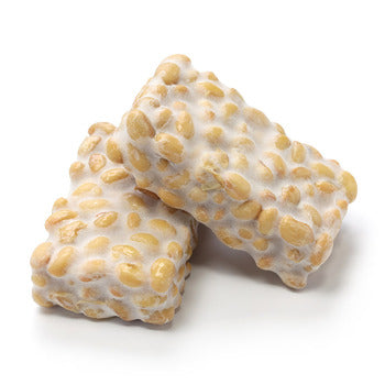 Wholesale Turtle Island Tempeh 8oz- Bulk
