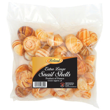 Wholesale Sabarot Snail Shells- Bulk
