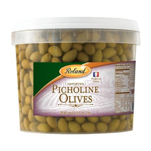 Wholesale Sanniti Each Picholine Green Olive- Bulk