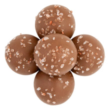 Wholesale Birnn Bite Size Milk Chocolate Sea Salt Caramel Truffles- Bulk