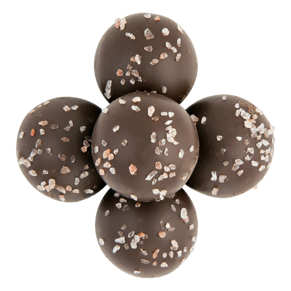 Wholesale Birnn Bite Size Dark Chocolate Sea Salt Caramel Truffles- Bulk