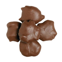 Wholesale BoxNCase Milk Chocolate Pecan Clusters- Bulk