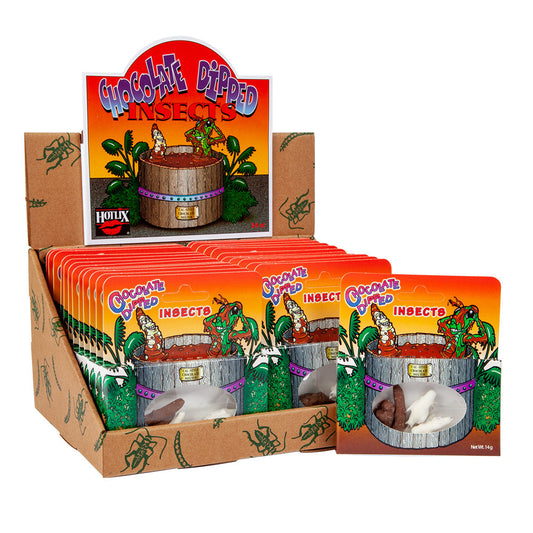 Wholesale Chocolate Flavored Insects- Bulk