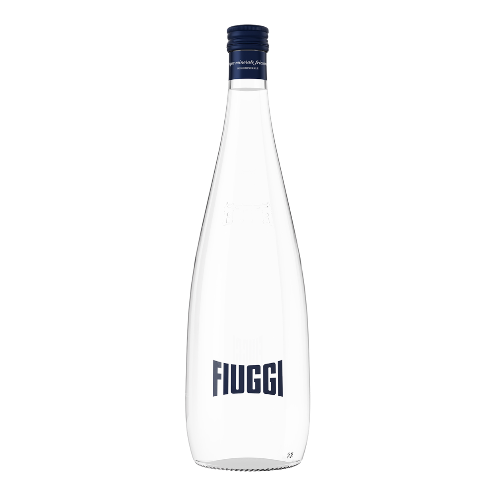 Wholesale Fiuggi Sparkling Water 500Ml | 500 ml- Bulk