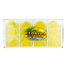 Wholesale Florida Lemon Fruit Slices 8 Oz Box *Fl Dc Only*- Bulk