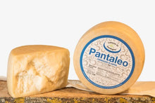 Wholesale Pantaleo- Bulk