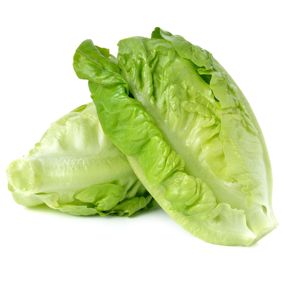 Wholesale BoxNCase Case Baby Green Romaine Lettuce- Bulk