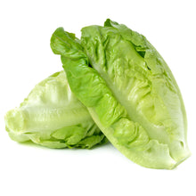 Wholesale BoxNCase Case Baby Green Romaine Lettuce- Bulk