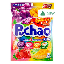 Wholesale Puchao Mixed Fruit 3.53 Oz Peg Bag- Bulk