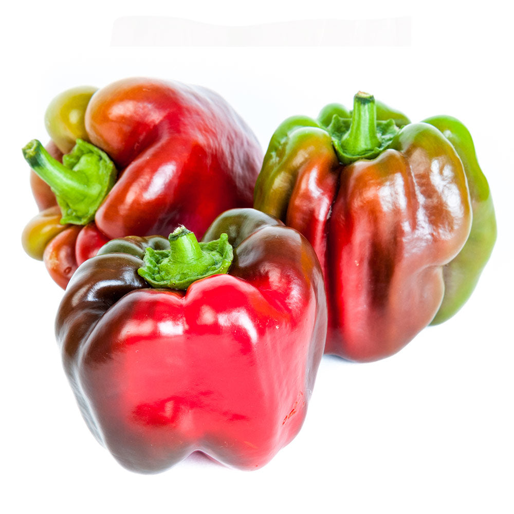 Wholesale L&M Case Suntan Peppers- Bulk