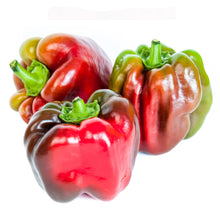 Wholesale L&M Case Suntan Peppers- Bulk