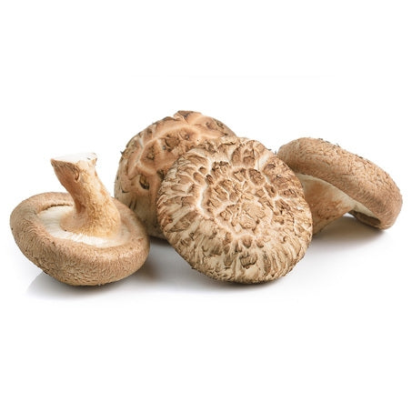 Wholesale Phillips Case Small Portabello Mushroom- Bulk