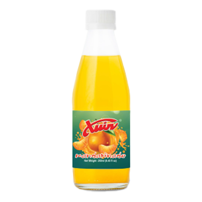 Wholesale Chion Juice Mandarinade (Glass) 250 Ml- Bulk