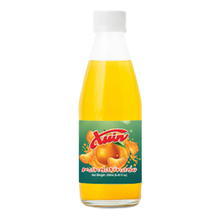 Wholesale Chion Juice Mandarinade (Glass) 250 Ml- Bulk