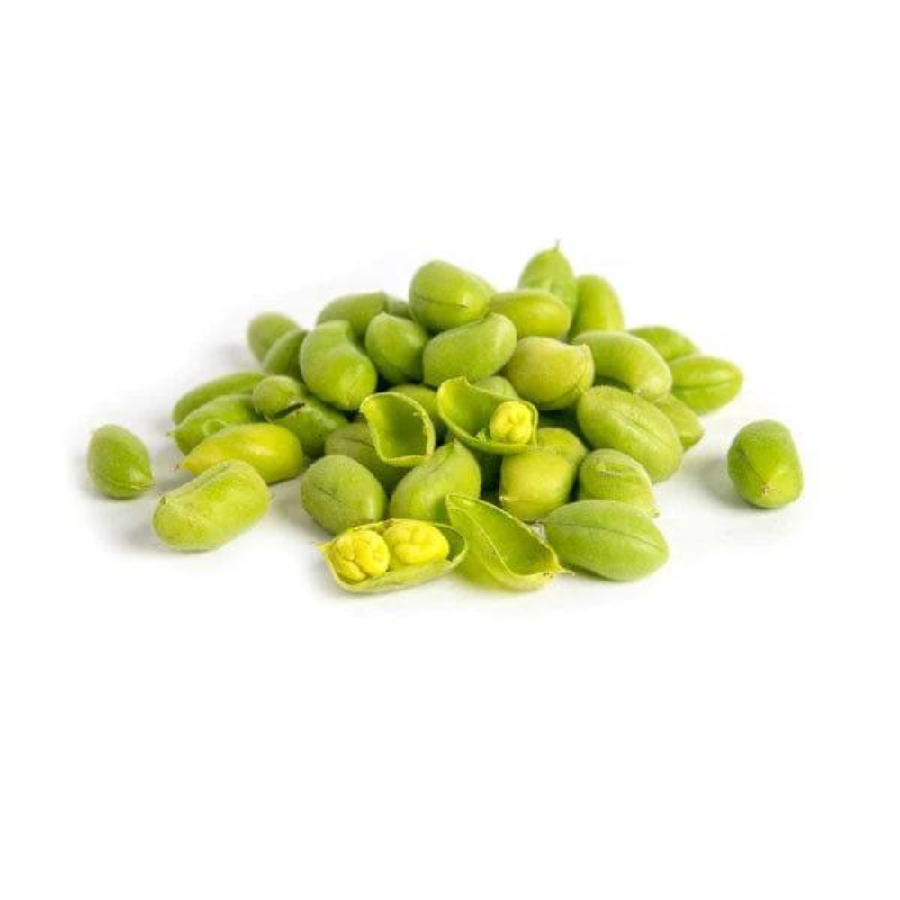 Wholesale Fresh Garbanzo Beans | 5 lb- Bulk