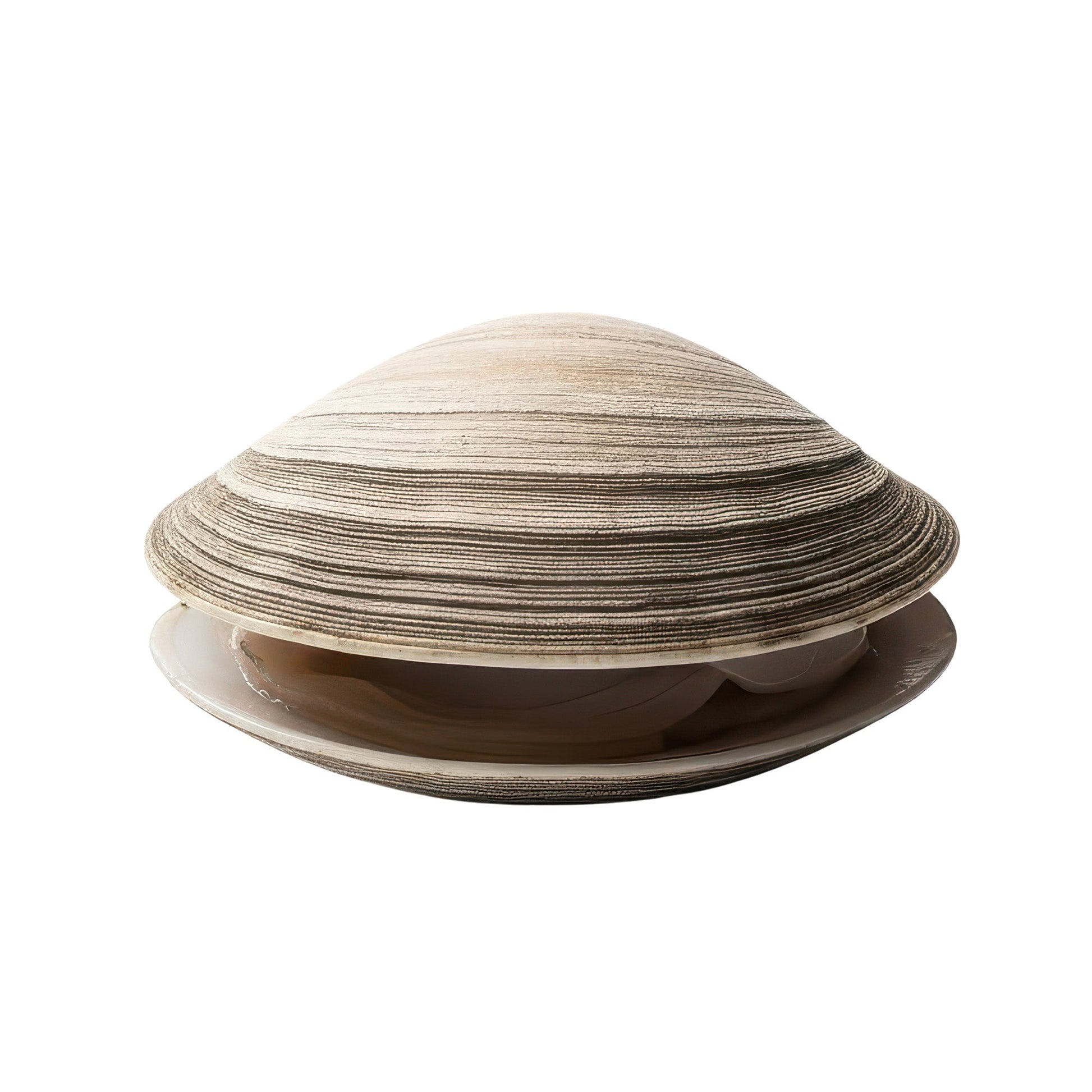 Wholesale Dix Farms Manilla Clams 5lb- Bulk